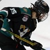 Four Current Jr. Ducks among seven taken in NAHL Draft
